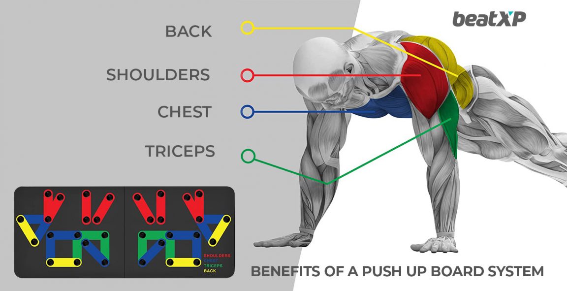 Unknown Benefits of a Push Up Board System | beatXP Blog